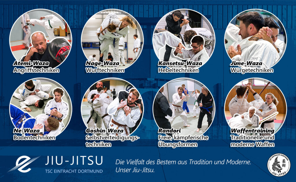 Überblick über die verschiedenen Technikdisziplinen des Jiu-Jitsu